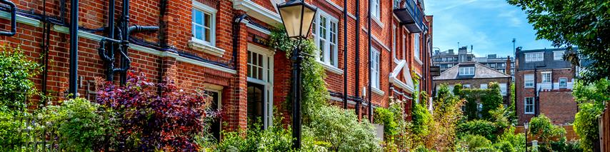 Adobestock 408890004