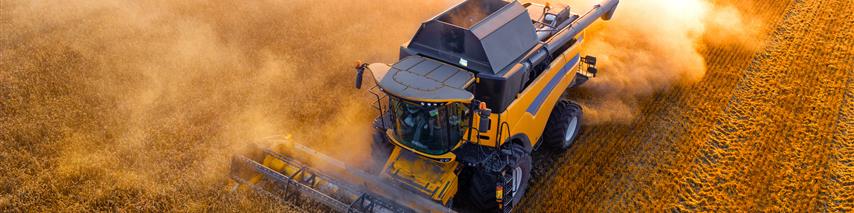 Adobestock 511150155